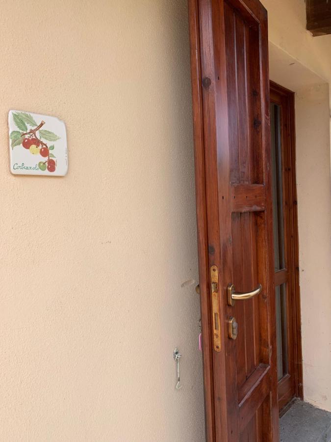 Agriturismo Terra Noas Villaurbana Exteriör bild